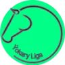Ýokary Liga