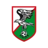 Sokół Kleczew