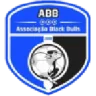 Black Bulls Maputo