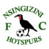 Nsingizini Hotspurs