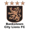 Bankstown City Lions