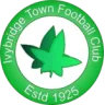 Ivybridge Town