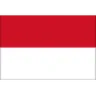 Team Indonesia