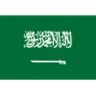 Team Saudi Arabia