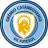 Grêmio Catanduvense