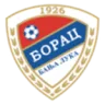 Borac Banja Luka