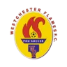 Westchester Flames