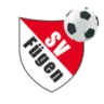 Fügen