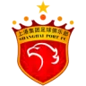 SHANGHAI SIPG
