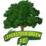 Leverstock Green