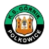 Górnik Polkowice